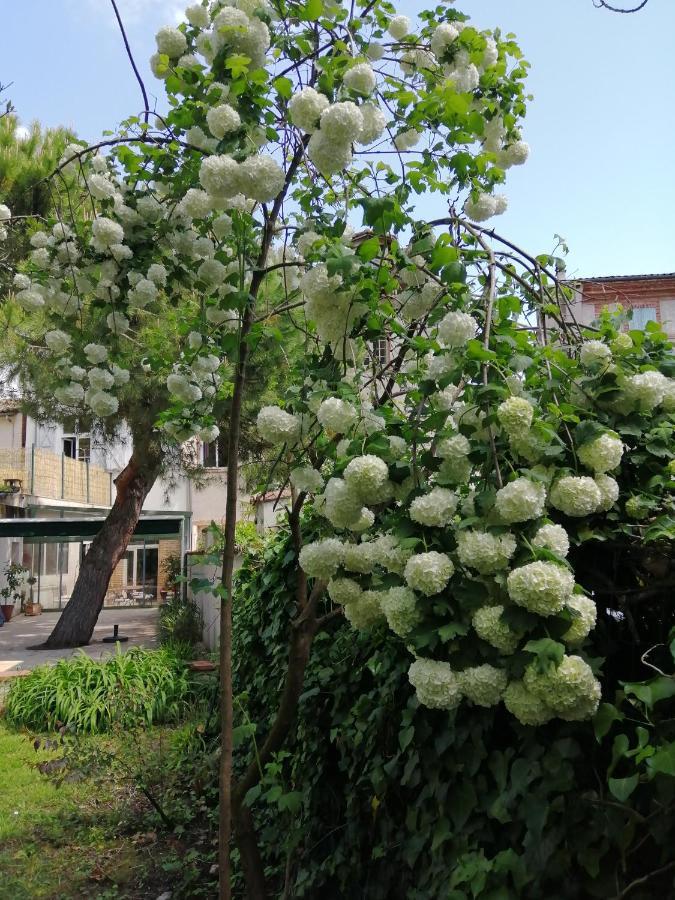 Chambre D'Hotes Pmr Hildegarde Moissac Buitenkant foto